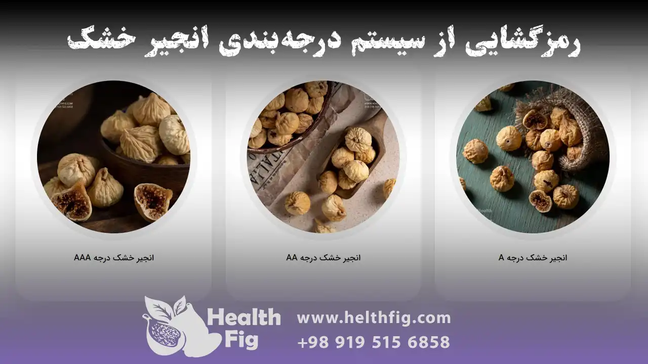 رمزگشایی از سیستم درجه‌بندی انجیر خشک: از سوپر پرک و AAA تا گرید A