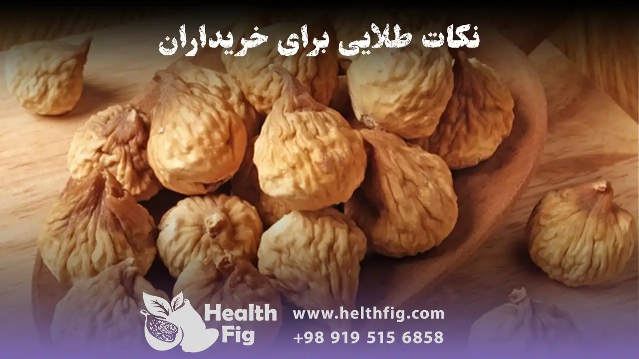 نکات طلایی برای خریداران خرده: چگونه بهترین انجیر را برای مصرف خانگی انتخاب کنیم؟