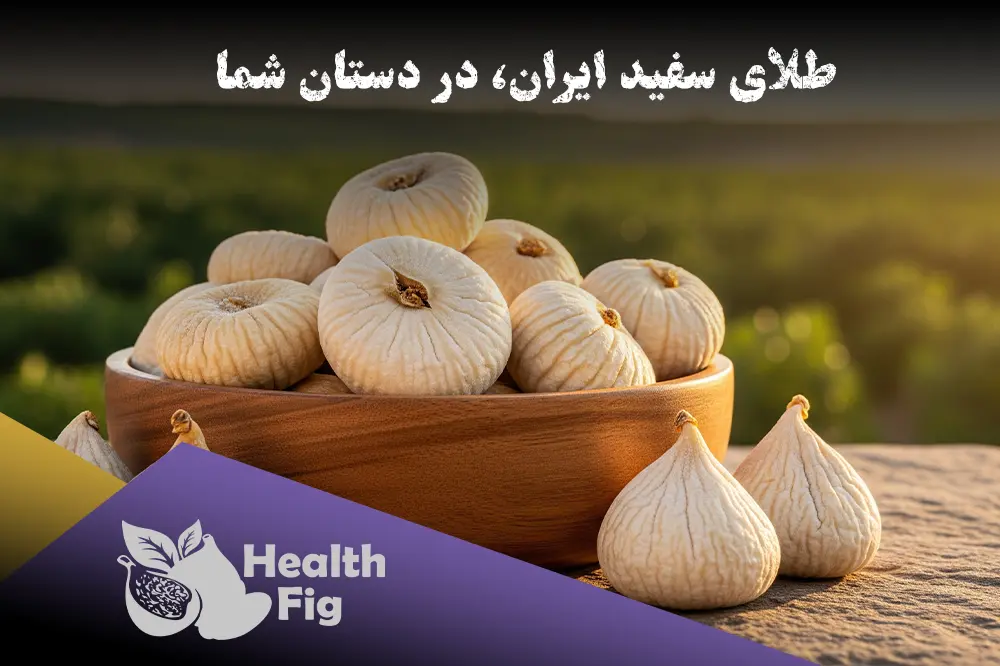 نمایی نزدیک از انجیر خشک استهبان درجه یک در یک کاسه چوبی با پس‌زمینه‌ای از باغات انجیر