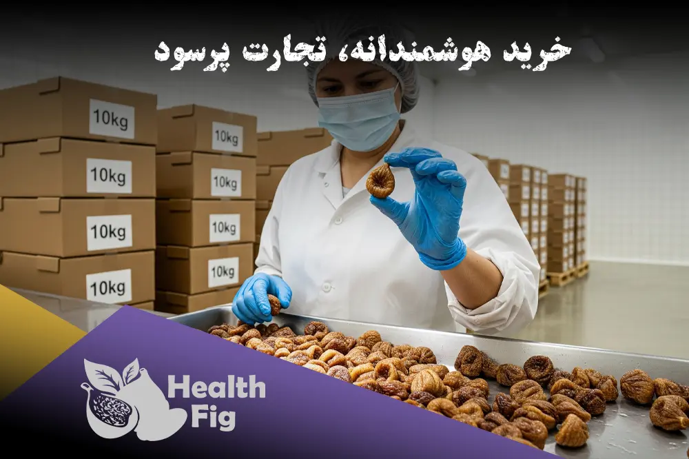 کارشناس در حال بررسی کیفیت انجیر خشک برای خرید عمده در یک مرکز فرآوری و بسته‌بندی