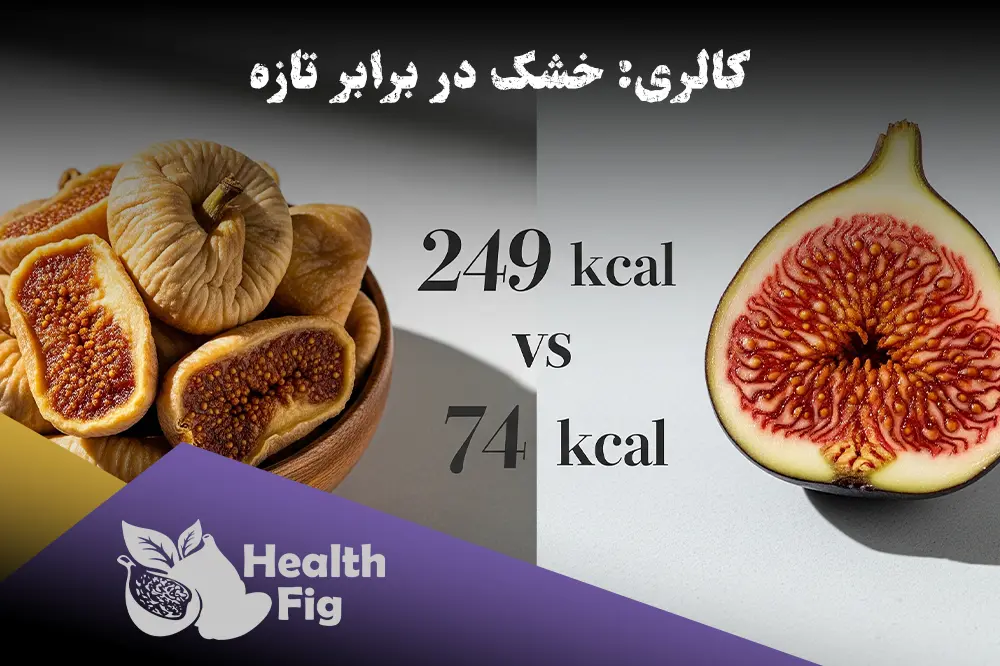 مقایسه کالری انجیر خشک و انجیر تازه به همراه نمایش عدد کالری هر کدام